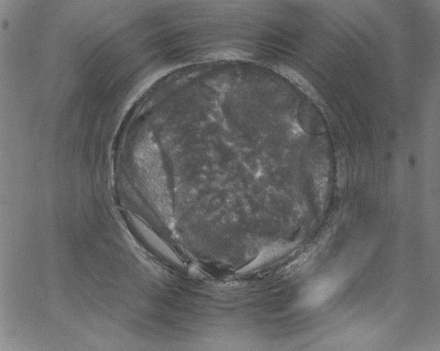 X0000067401031200604281902