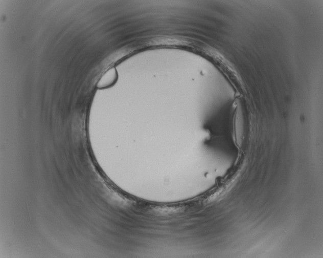 X0000067401033200604281902