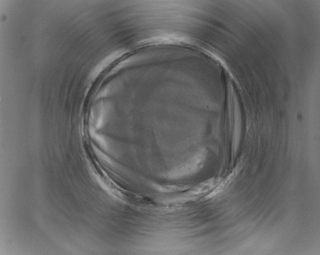 X0000067401034200604281902