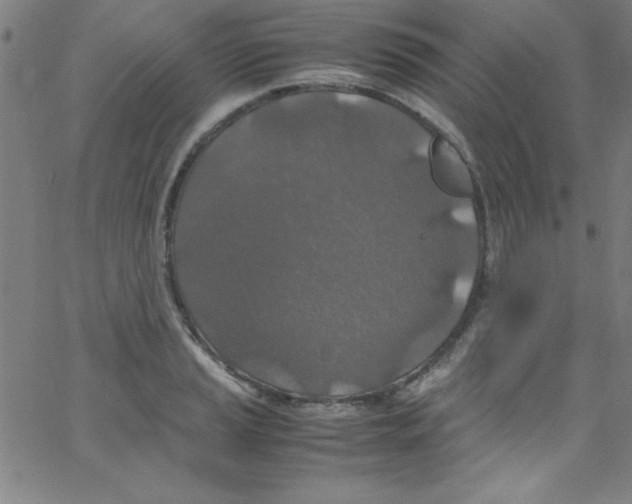 X0000067401037200604281902