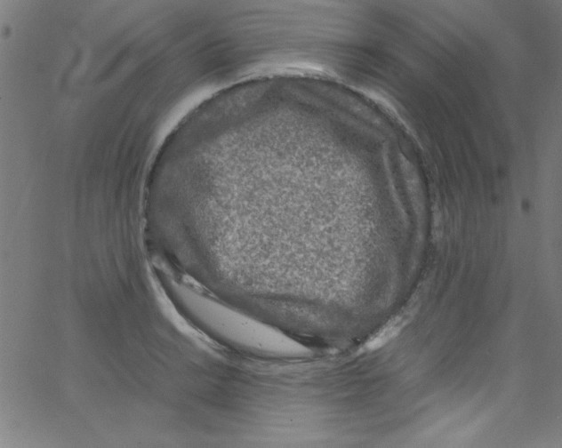 X0000067401038200604281902