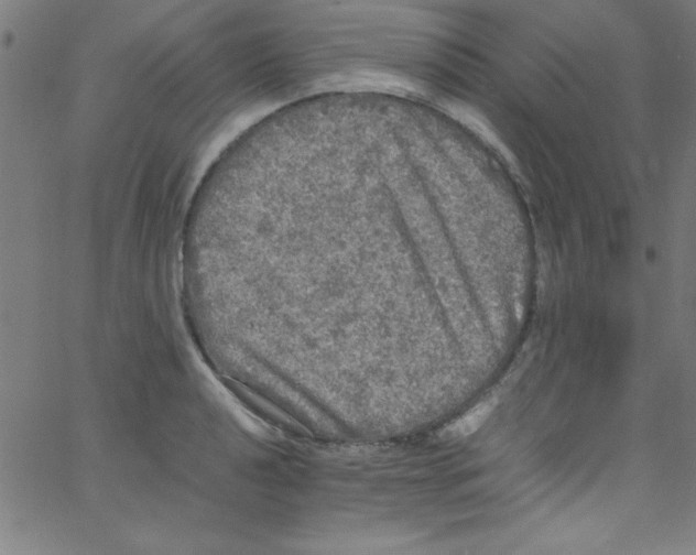 X0000067401040200604281902