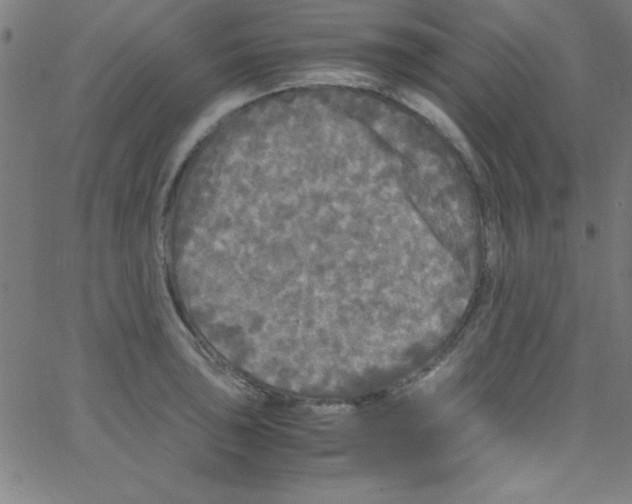 X0000067401043200604281903