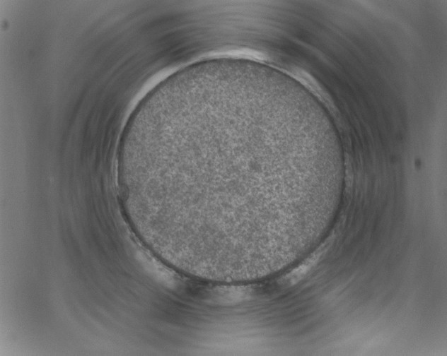 X0000067401044200604281903