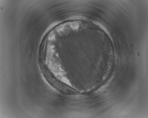 X0000067401045200604281903