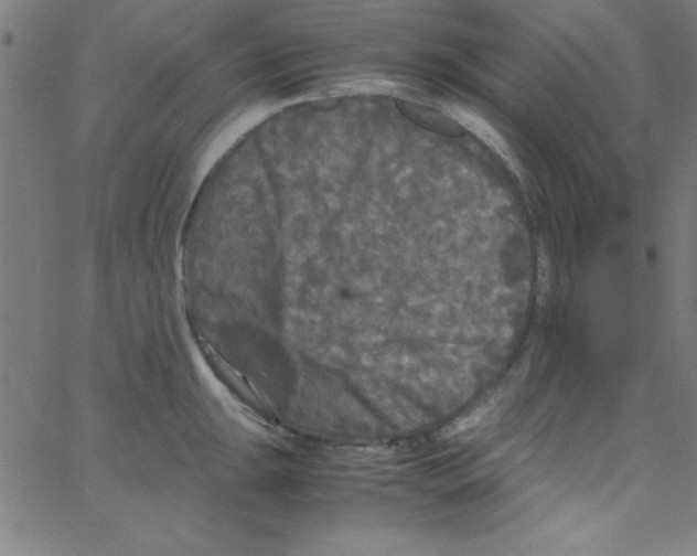 X0000067401047200604281903