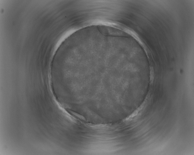 X0000067401048200604281903