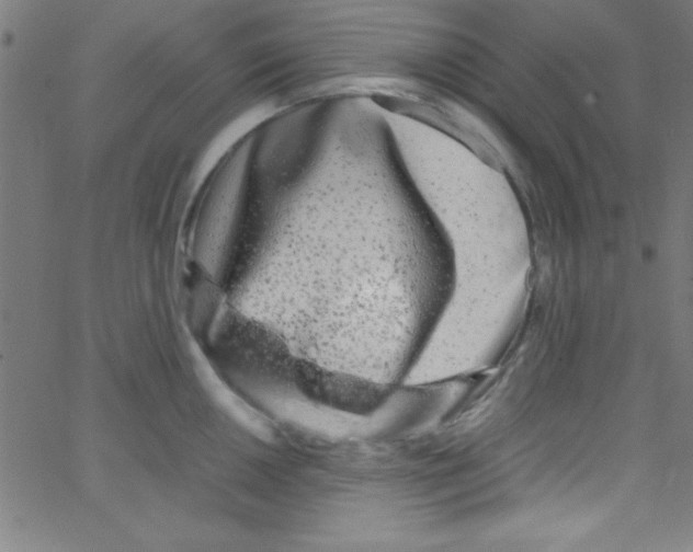 X0000067401050200604281903