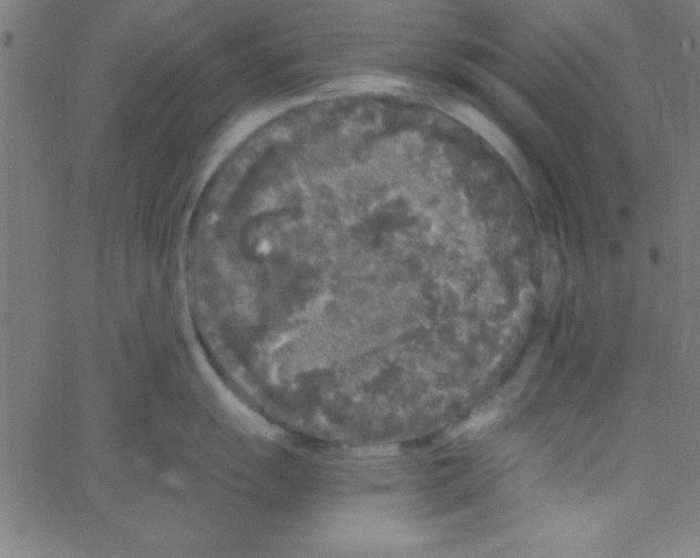 X0000067401055200604281903