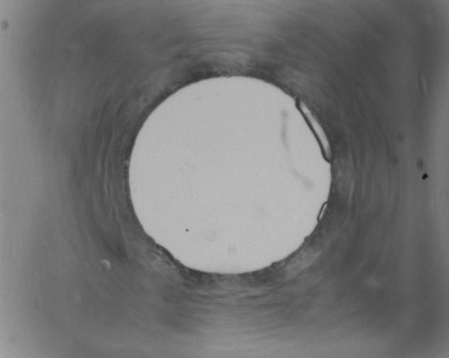 X0000067401057200604281902