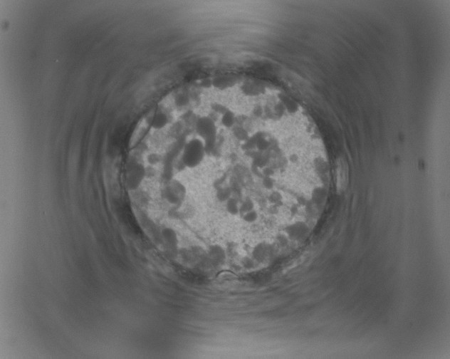 X0000067401059200604281902