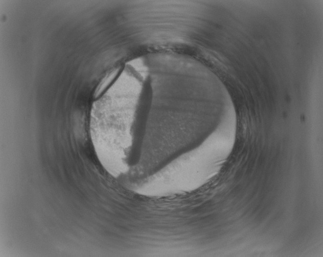 X0000067401060200604281902