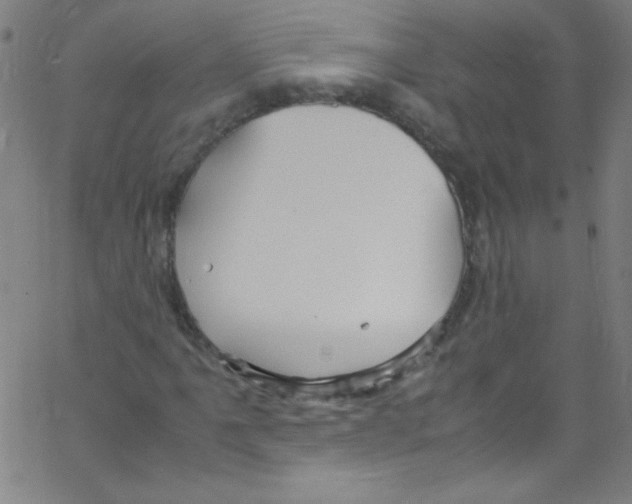 X0000067401061200604281902