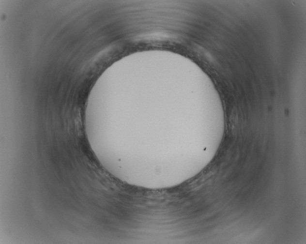 X0000067401062200604281902