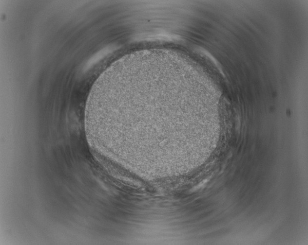 X0000067401064200604281902