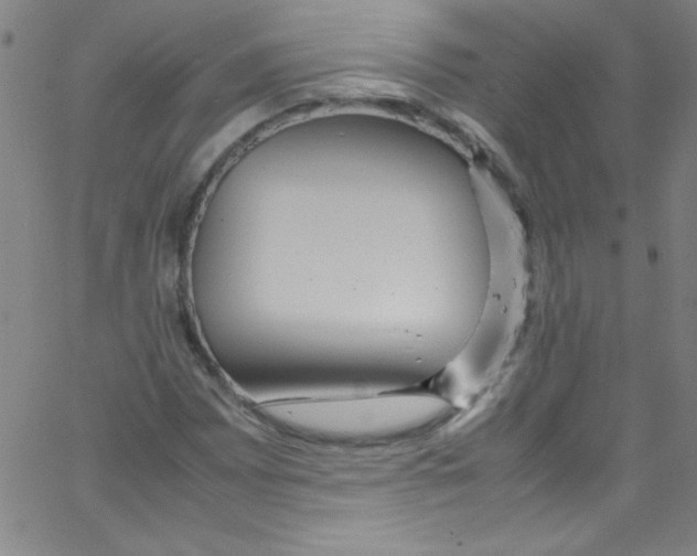 X0000067401065200604281902