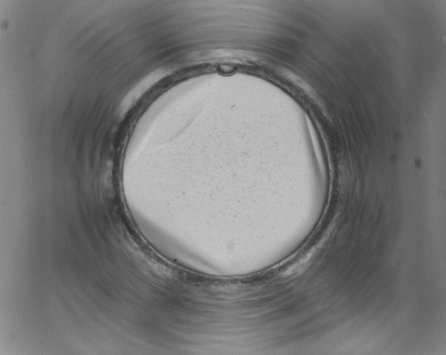 X0000067401066200604281902