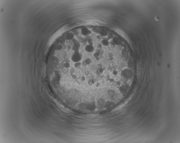 X0000067401067200604281902