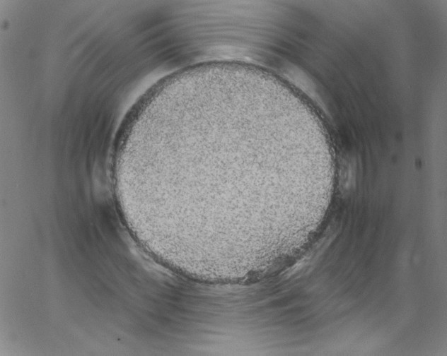 X0000067401068200604281902