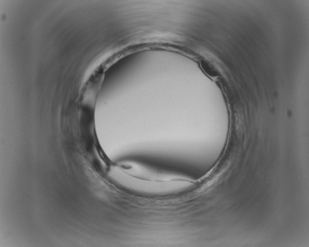 X0000067401069200604281902