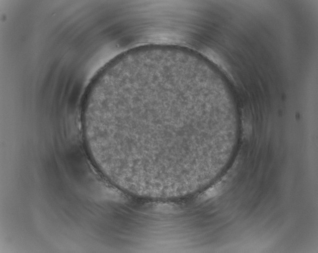 X0000067401070200604281902