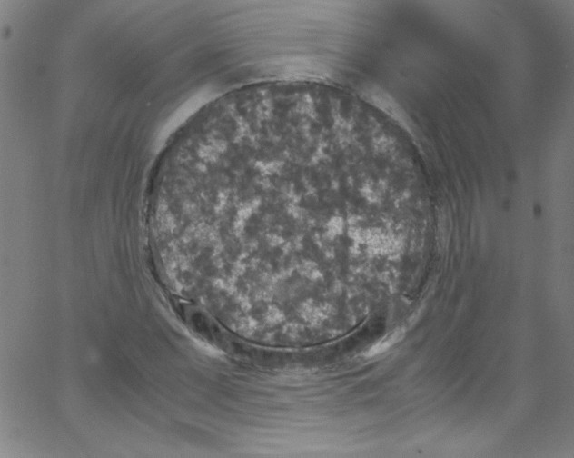 X0000067401071200604281902