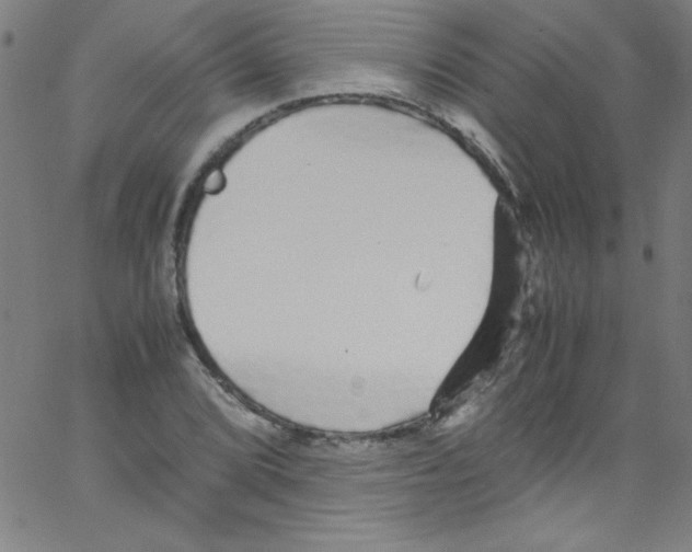 X0000067401072200604281902