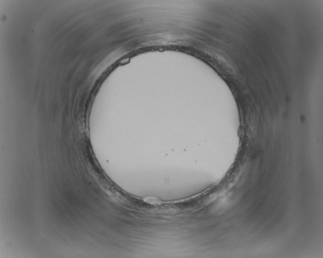 X0000067401073200604281902