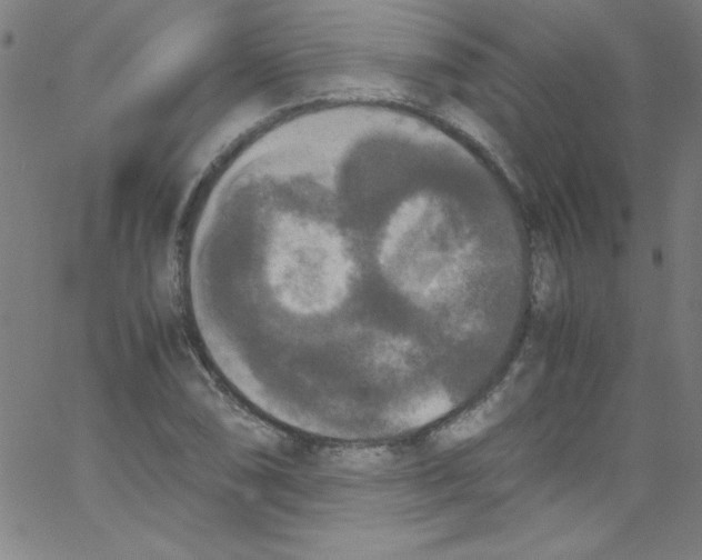 X0000067401074200604281902