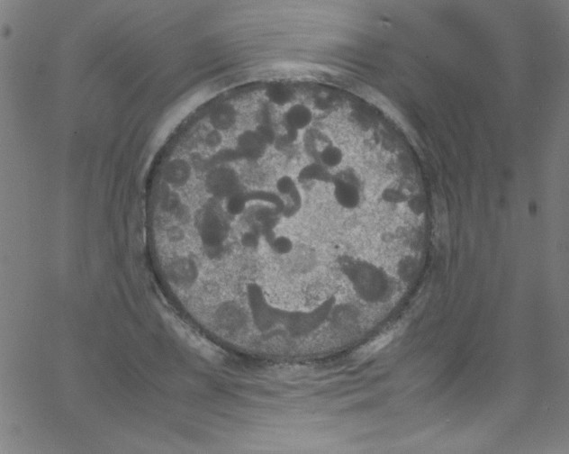 X0000067401075200604281902