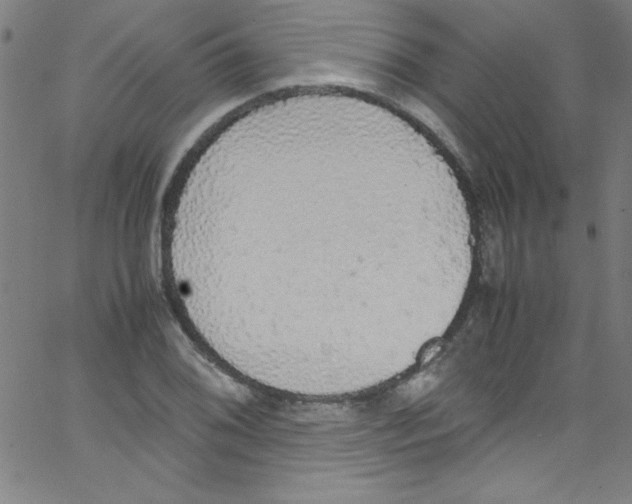 X0000067401076200604281902