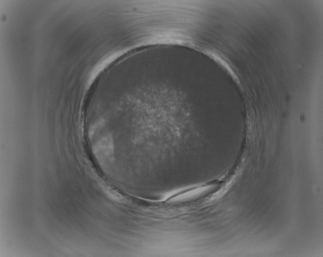 X0000067401077200604281902