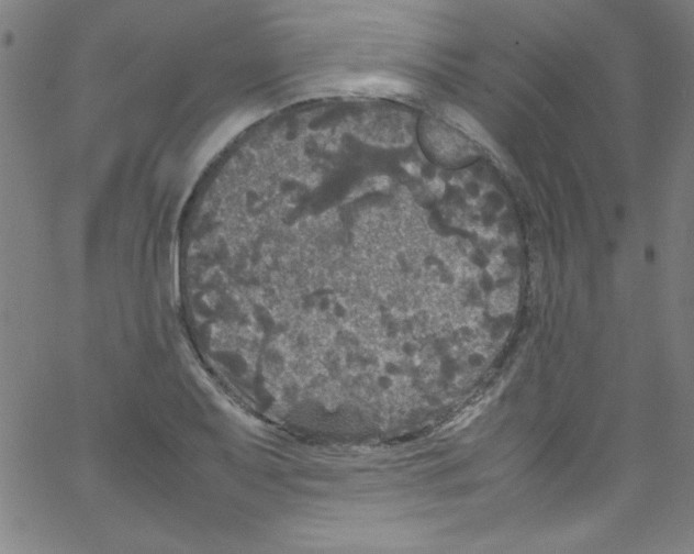 X0000067401079200604281902