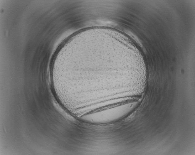 X0000067401080200604281902