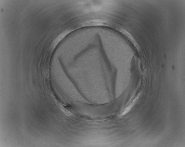 X0000067401081200604281902