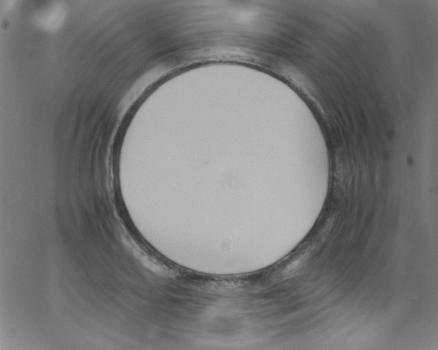 X0000067401082200604281902