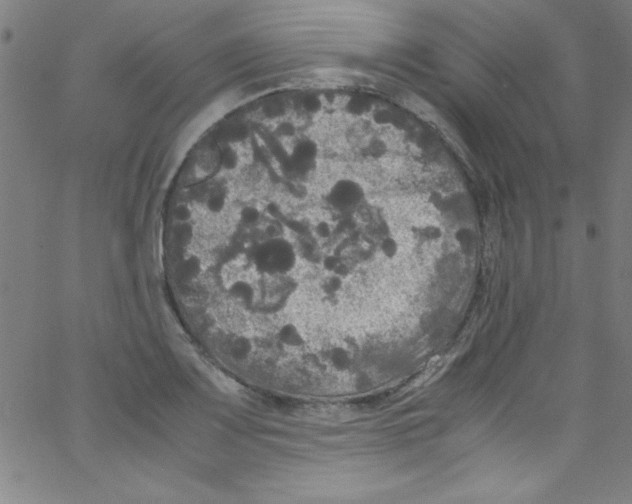 X0000067401083200604281902