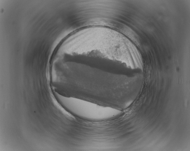 X0000067401084200604281902