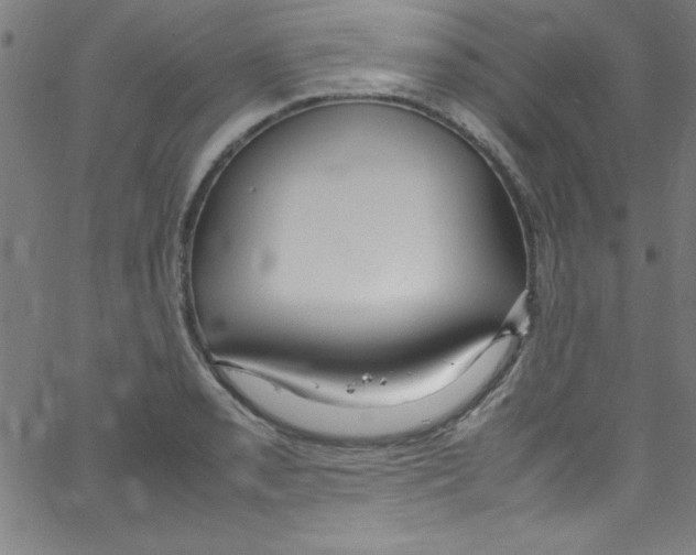 X0000067401085200604281902