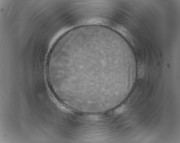 X0000067401086200604281901