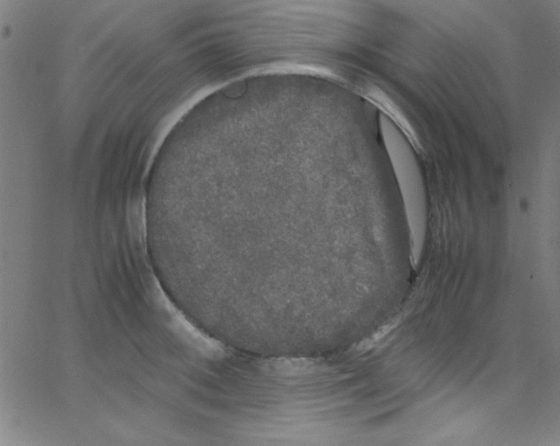 X0000067401092200604281901