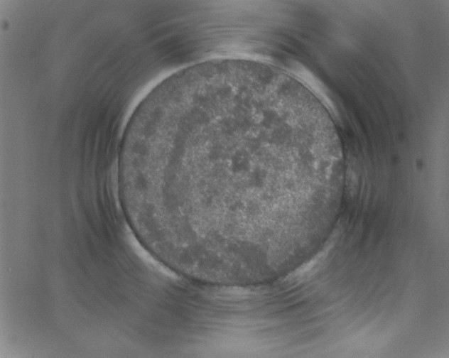 X0000067401100200604281901