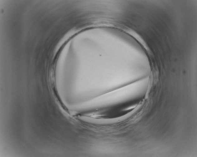 X0000067401101200604281901