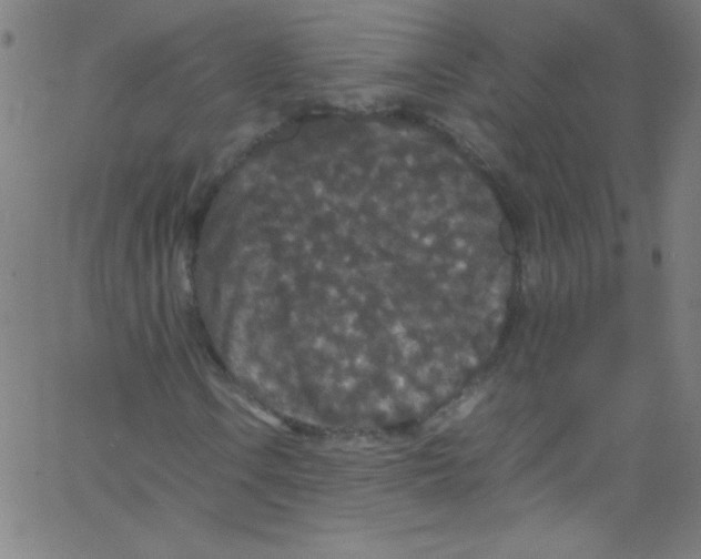 X0000067401106200604281900