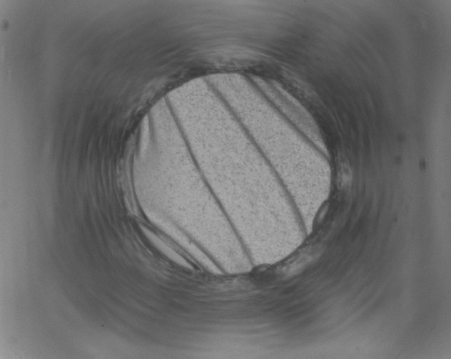 X0000067401108200604281900