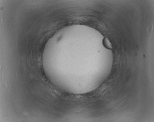 X0000067401109200604281900