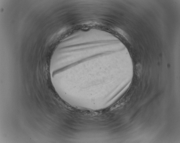 X0000067401111200604281901