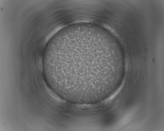 X0000067401113200604281901