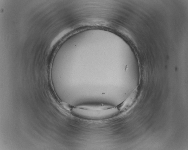 X0000067401114200604281901