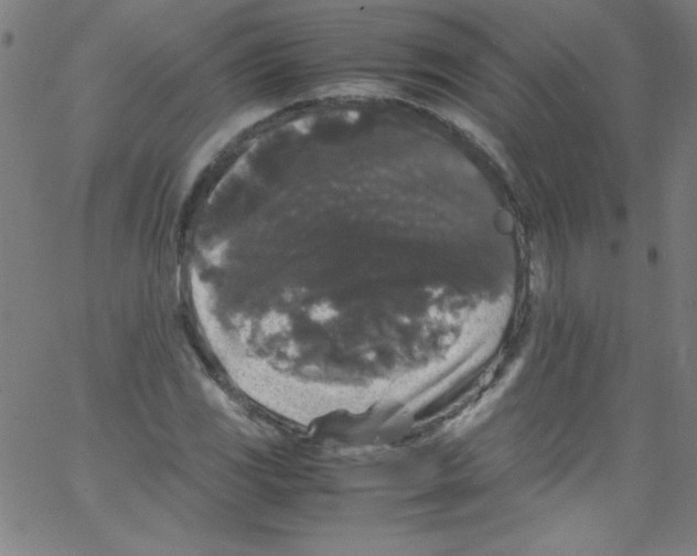 X0000067401117200604281901